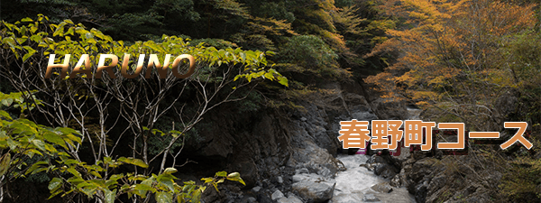 春野町コース
